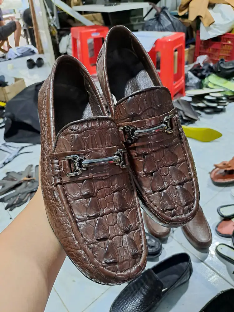 Vảy rồng gai lưng — ảnh tham khảo 4