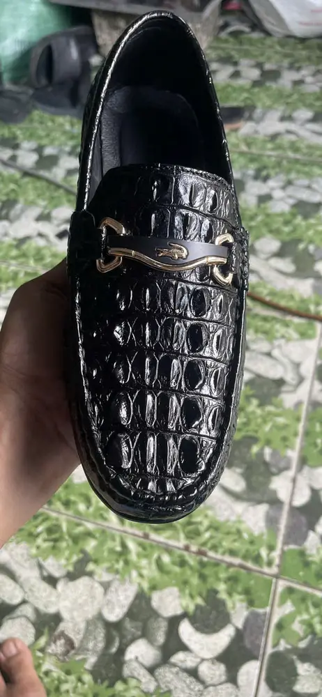 Vảy rồng gai lưng
